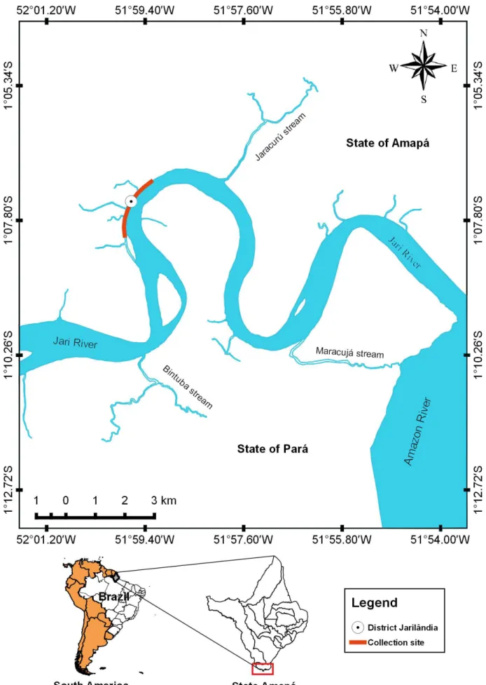 Figure 1. Collection locality of Satanoperca jurupari from Jari River, tributary from Amazon River in northern Brazil.
