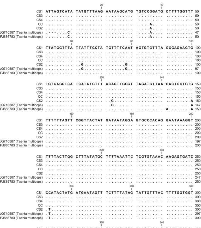 Figure 2. Sequence alignment of samples analyzed in this study using the reference sequences (JQ710587 and FJ886783)