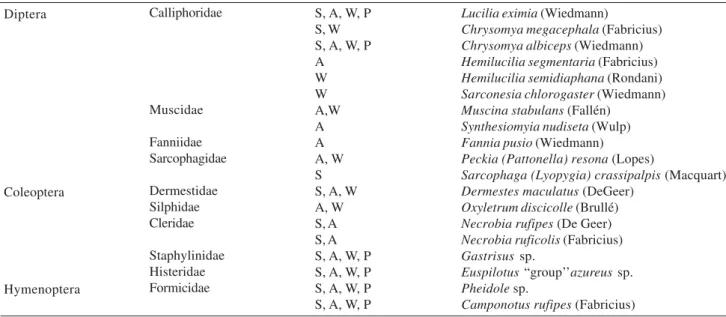 Table I. Insects of forensic importance collected in carcass.