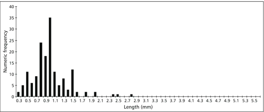 Fig. 3 — Frequency of distribution of the classes of teeth length of Isurus oxyrinchus based on teeth found in embryo.