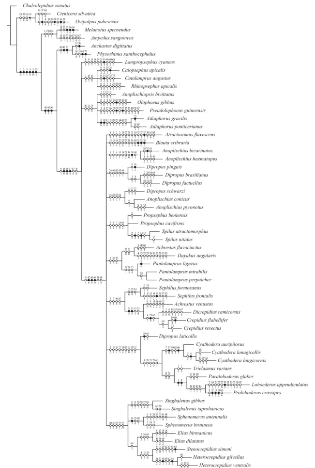 Fig. 2. Tree representing the common clades among five trees calculate with fits 5-50