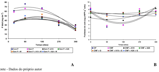 Figura 3 - Médias de fósforo lábil (P lábil) (A) e atividade da enzima fosfatase ácida do solo  (B) para as diferentes épocas de amostragem e inoculação