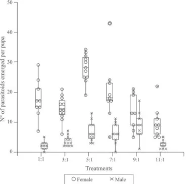 Fig. 3. Box-Plot combined with dot-density representing the number of females and males parasitoids emerged per pupa from treatments where one host was exposed to different numbers of female parasitoids (one, three, five, seven, nine and eleven).