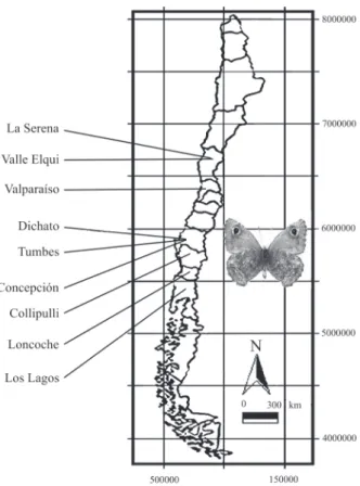 Table I. Study sites for Auca coctei in Chile, with indication of geographic coordinates (latitude, longitude), Chilean regions and sample size (n).