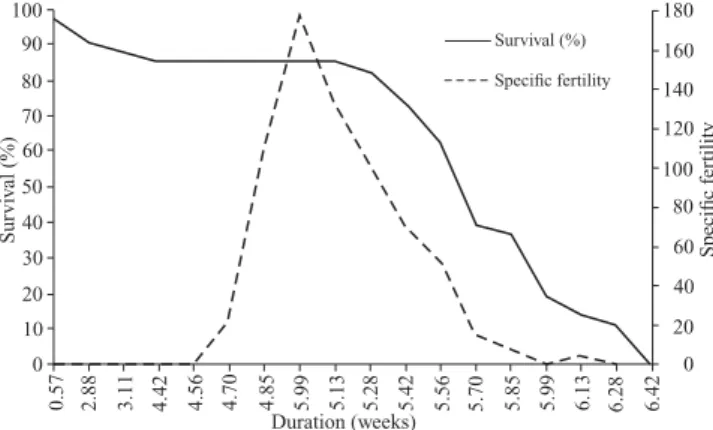 Fig. 6. Relation between fertility (mx) and survival rate (lx) of of females of Spodoptera eridania reared on an artificial diet at 25 ± 1°C, 70 ± 10%