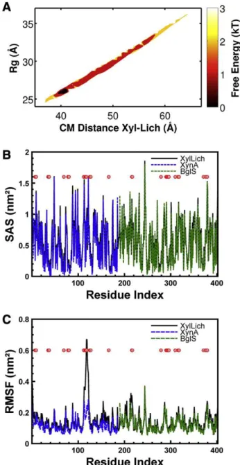 Fig. 4 describes our attempt to evaluate the mode of action of XylLich, XynA and BglS through CZE analysis of APTS-labeled  oligosac-charides