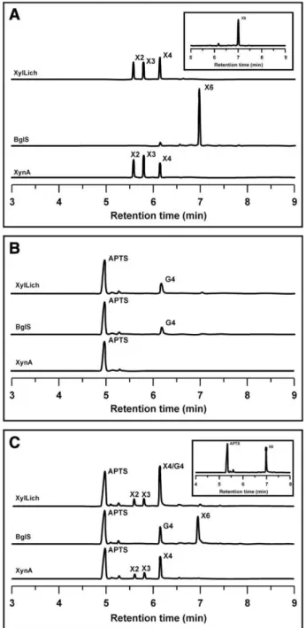 Fig. 5. Secondary structure evaluation by circular dichroism. (A) Far-UV CD spectra of XylLich and individual enzymes at pH 7.4 and 20 °C and (B) thermal denaturation curve at pH 7.4