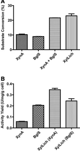 Fig. 6. Biotechnological appealing for producing the chimeric enzyme. (A) Analysis of the conversion efﬁciency of a composite consisting of beechwood xylan and lichenan by the parental enzymes, the mixture of the parental enzymes (XynA + BglS) and XylLich