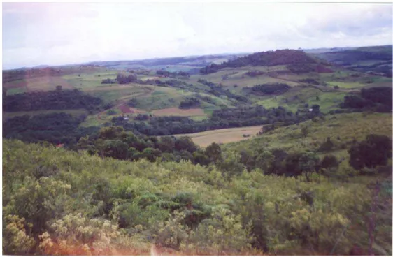 Foto 1 – Áreas de Topografia Ondulada e Florestais - 2002 