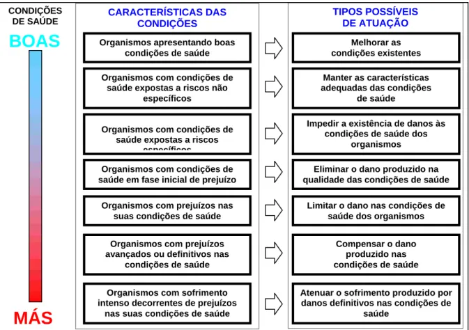 Figura 2.1 – Características das condições de saúde e tipos de atuação possível (baseado em Rebelatto, 2004)