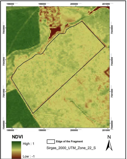 Figure 10: Fragment of Cerrado Vegetation at  “Estação Ecológica de Itirapina” (ESECI) NDVI Image from 2011 