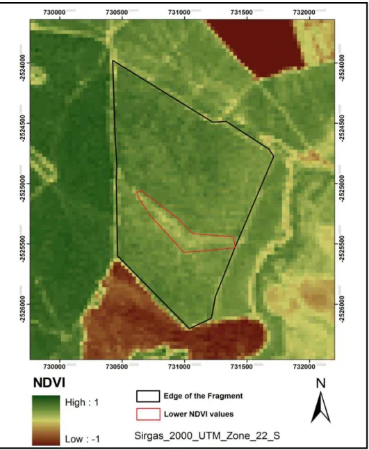 Figure 11: Fragment of Cerrado Vegetation at Cerrado Reserve “Palmeira da Serra” (CRPS) Map showing a  Region with Lower NDVI Values, Evidenced by the Red Polygon in 2011 Map 