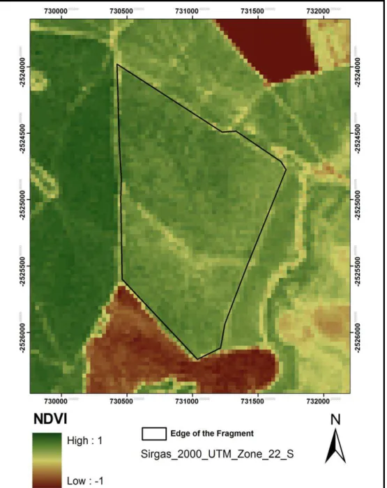 Figure 8: Fragment of Cerrado  Vegetation at Cerrado Reserve “Palmeira da Serra” (CRPS) NDVI Image from  2011 