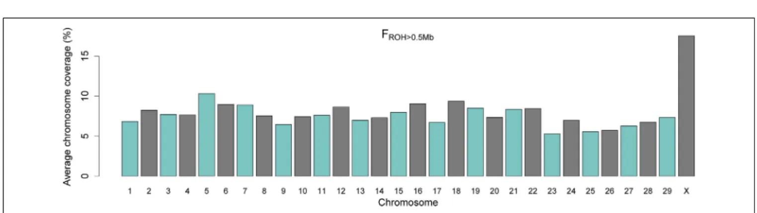 FIGURE 3 | Barplot of average percentage of chromosome coverage by runs of homozygosity (F ROH ) of minimum length of 0.5 Mb.