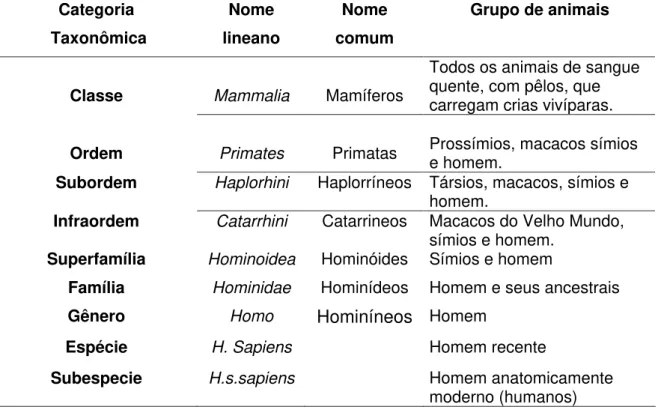 Tabela  2: Taxonomia  homídea: o lugar dos humanos  e dos hominídeos no  mundo biológico (baseado em Le Gros Clark, 1949; Szalay e Delson,1979)  