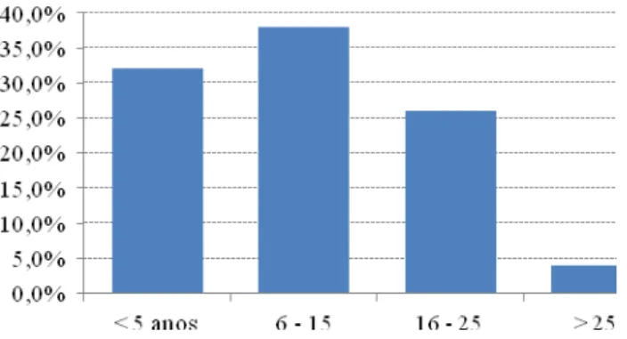 Gráfico 4 – Antiguidade (Funcionários) 