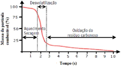 Figura 2.3 - Perda de massa em função do tempo durante a combustão de madeira, adaptado de [70]