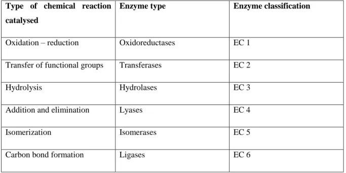 Table 1.1 – Classification of enzymes based on the chemical reaction catalysed. 