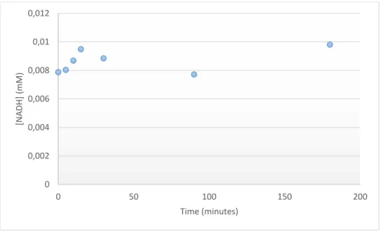 Figure  3.1  –  NADH  evolution  over time in  sodium phosphate  buffer  0.1  M, pH  7,  using  1.5mg  (0.5  mg/mL) FateDH, with CO 2  bubbling into the media, at room temperature