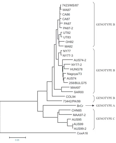Fig. 2 - Dendrogram showing the genetic affinity of isolate 73442/PA/99 with strains of EV- EV-71 and strain Cox A16-G10, based on alignment of VP1 gene nucleotide sequence (891bp).