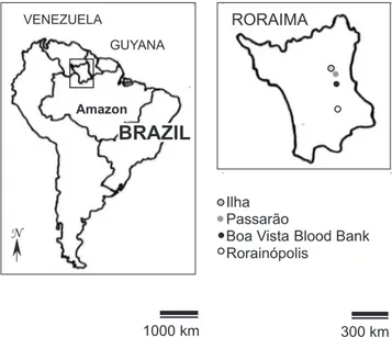 Fig. 1 - Brazil, Roraima, agricultural settlements and Boa Vista.