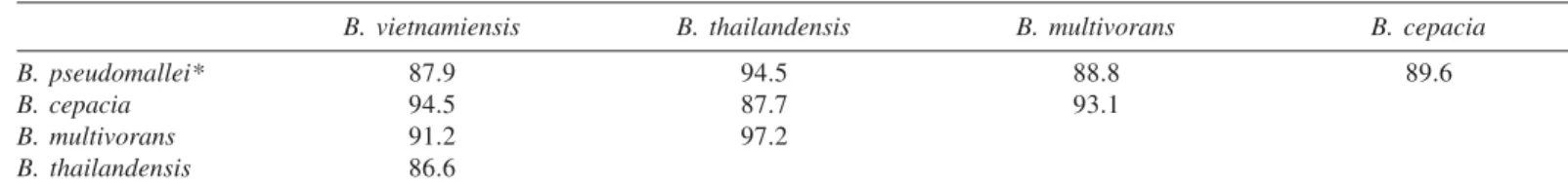 Table of percentage identity between studied Burkholderia species of the phaC gene fragment