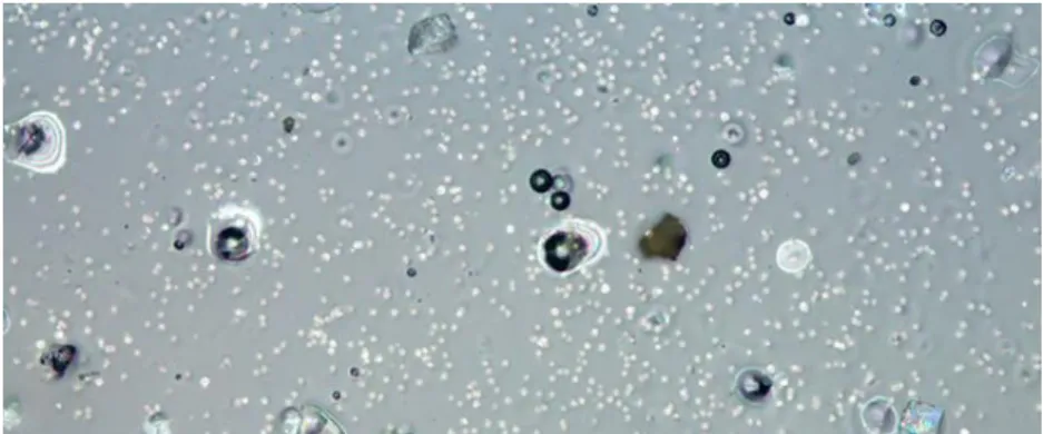 Figure 23: example of the phenomenon of bleaching of the glass. Source: graphicatlas.org 