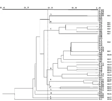 Fig. 2 - NTSYS dendrogram of genetic similarity for Fusobacterium nucleatum isolated from patients with different clinical conditions, analyzed by ribotyping