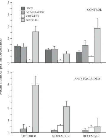 Fig. 1. Average number (± 1SE) of individuals per inflorescence on control and on ant-excluded inflorescences.
