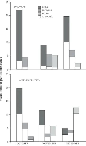 Fig. 2. Average number of buds, flowers, and fruits produced on control and on ant-excluded inflorescences (filled bars)