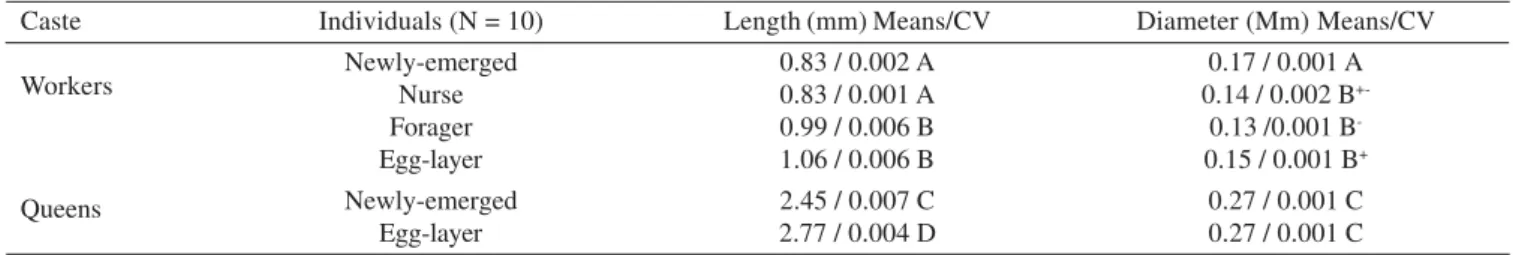 Table I. Measurements of the length and diameter of the Dufour gland of Apis mellifera and statistical analysis of the data.