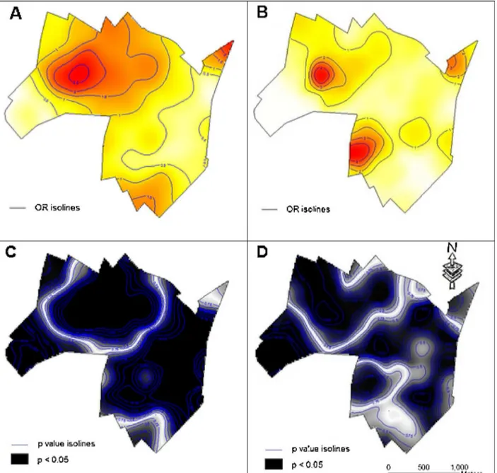 Fig. 6. Spatial risk map for dengue with odds ratio (OR) from January to May of 2006 (A) and from January to May of 2007 (C) and p value map for the first period (C) and for the second period (D), Jaguaré neighborhood, municipality of São José do Rio Preto