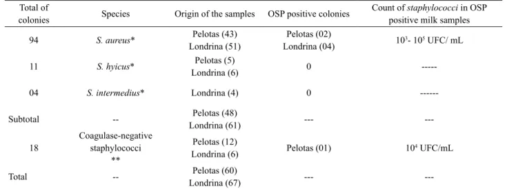 TABLE 2. Evaluation of the ability to produce SEA, by immunodifusion technique (OSP), of coagulase positive and negative staphylo- staphylo-cocci cultures isolated from refrigerated raw milk samples in dairy farms at the regions of Londrina (PR) and Pelota