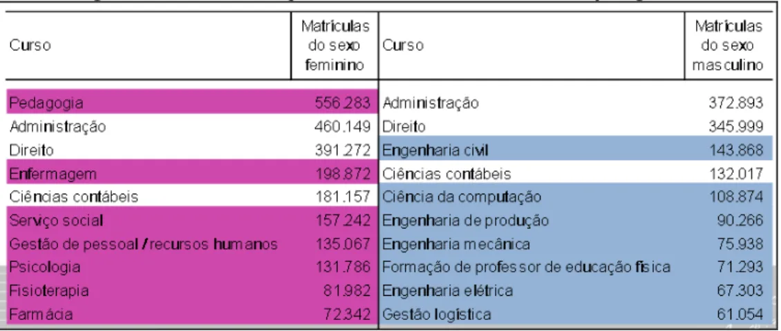 Figura 12 - Concentração das matrículas nos cursos por gênero 