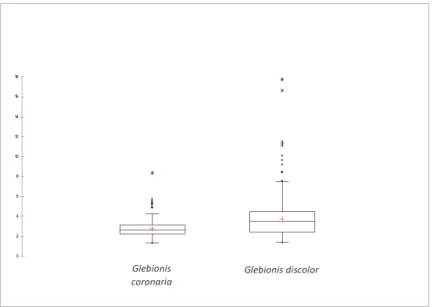 Figure 5. Statistical analysis by box plot of ratio cypsela-wing width of Glebionis coronaria and G