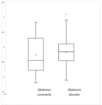 Figure 7. Statistical analysis by box plot of disc cypselas length of Glebionis coronaria and G
