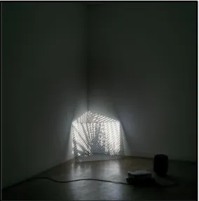 Figura 6: Estrela, Le Moiré de 2010. 