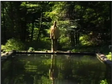 Figura 7: Viola, The Reflecting Pool de 1977-79 