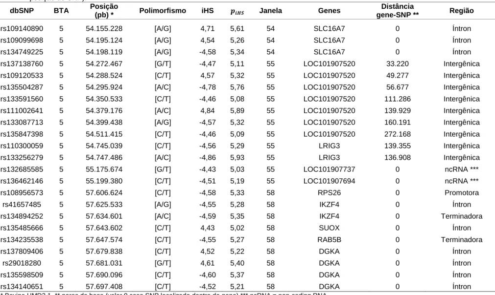 Tabela 8. Marcadores SNP estatisticamente significativos (P&lt;0,00001) com suas respectivas informações (nome de referência (dbSNP), cromossomo  autossômico (Bos taurus - BTA) a que pertencem, posição no cromossomo (pares de bases – pb), polimorfismo, iHS