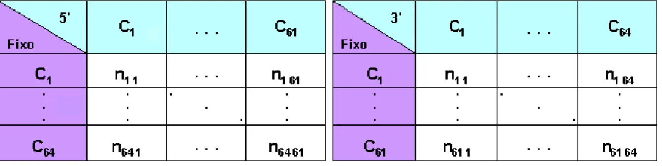 Figura 1.6: Esquema que explicita o modo como foram feitas as contagens.