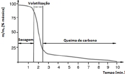 Figura  14  -  Redução  de  massa  em  função  do  tempo.  (Análise  termogravimétrica,         m 0  = 100 mg, dT/dt = 100ºC/min [Dussbaumer, 2003] )