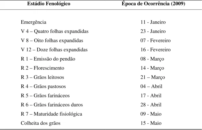 Tabela 2.  Época  de  ocorrência  dos  estádios  fenológicos  da  cultura  do  milho.  Botucatu–SP,  2009