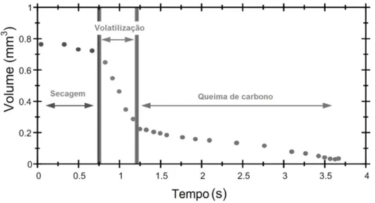Figura 12 – Combustão de uma pequena partícula de biomassa em fases distintas [Van Loo e  Koppejan