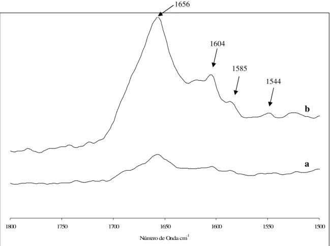 Figura 2.10 – Região entre 1800-1500 cm -1  do espectro de Raman da farinha Almari (a) e respectivo glúten  (b) do grupo I, no estado seco