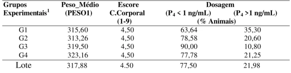 TABELA 1 – Percentagem de animais com níveis de progesterona  relacionada  aos pesos médios e aos escores médios da condição corporal em  vacas primíparas da raça Nelore no Momento 1