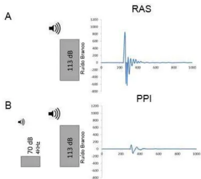 Figura 3. Registro da resposta do reflexo auditivo de sobressalto  (RAS) e da resposta de  sobressalto  após  a  inibição  por  estímulo  prévio  (PPI)