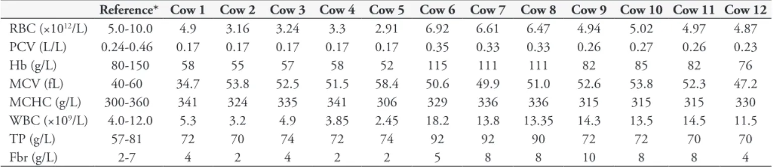 Table 1. Red blood cells (RBC), packed cell volume (PCV), hemoglobin (Hb), mean corpuscular volume (MCV), mean corpuscular hemoglobin  concentration (MCHC), white blood cells (WBC), total protein (TP) and fibrinogen (Fbr) values for 12 cows that were natur