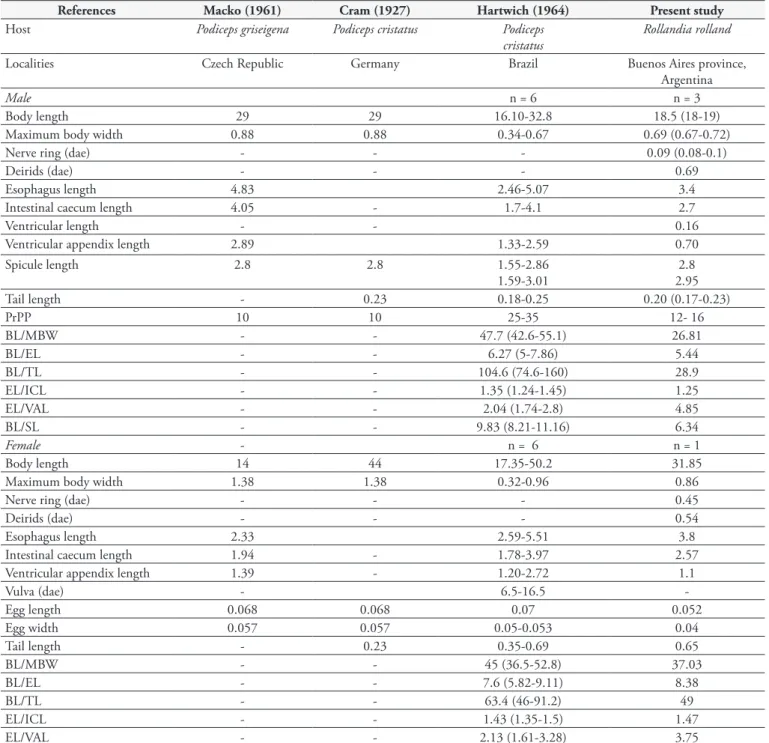 Table 1. Comparative morphometric data (in mm) on Contracaecum ovale.