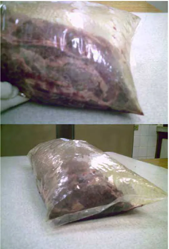 Figura 1. Carne bovina resfriada embalada a vácuo apresentando a deterioração 