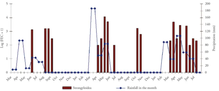 Figure 3. Temporal distribution of eggs from the feces of tracer lambs in samples collected at autopsy, in relation to the rainfall during that  month; samples were collected between April 2005 and August 2007 in the municipality of Lajes, Rio Grande do No